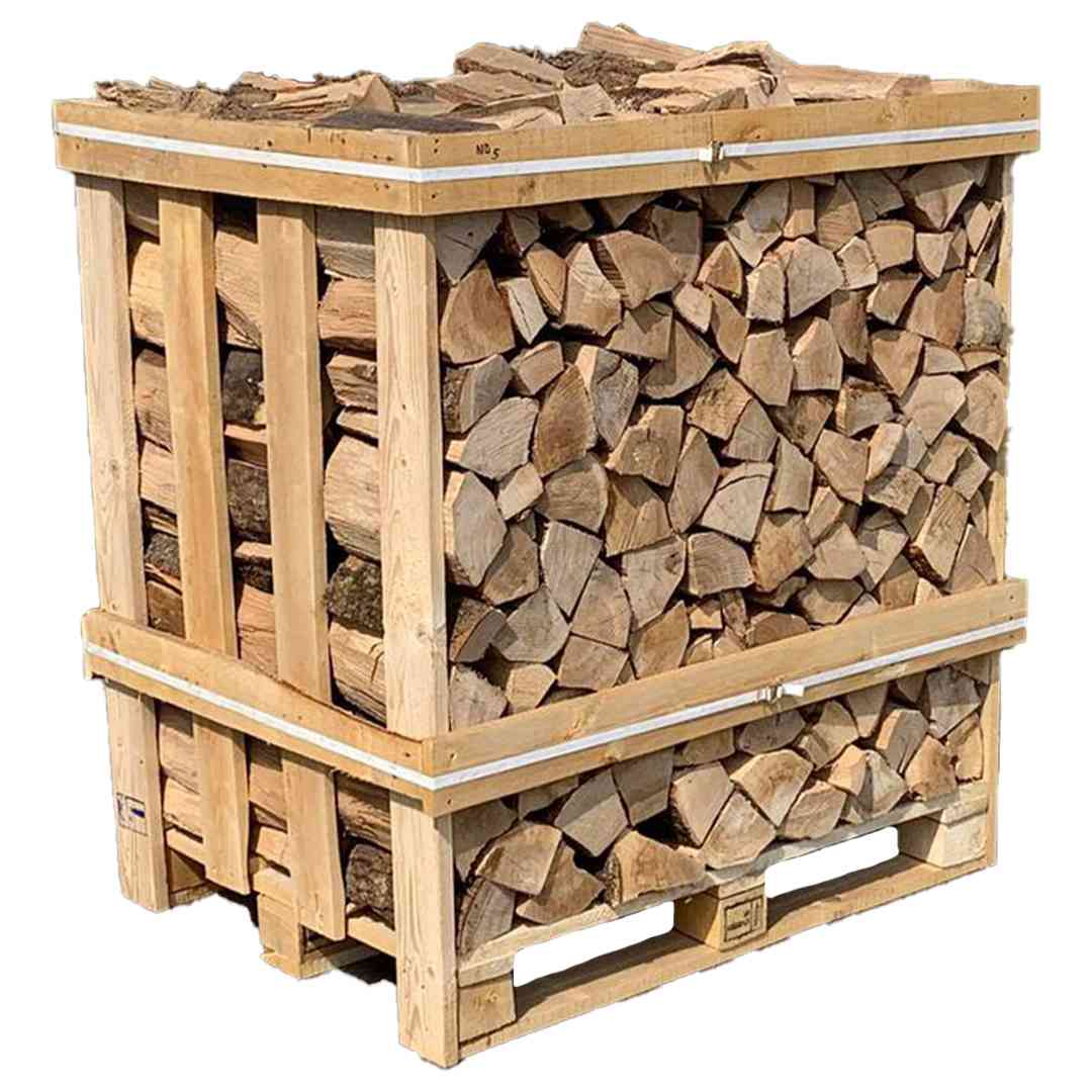 Buy ash firewood online from Enwood Sp.