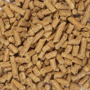 Buy wood pellets for litter
