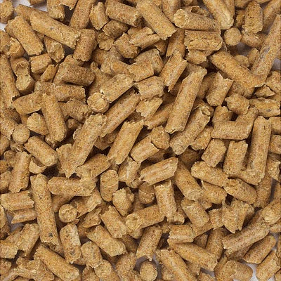 Buy wood pellets for litter