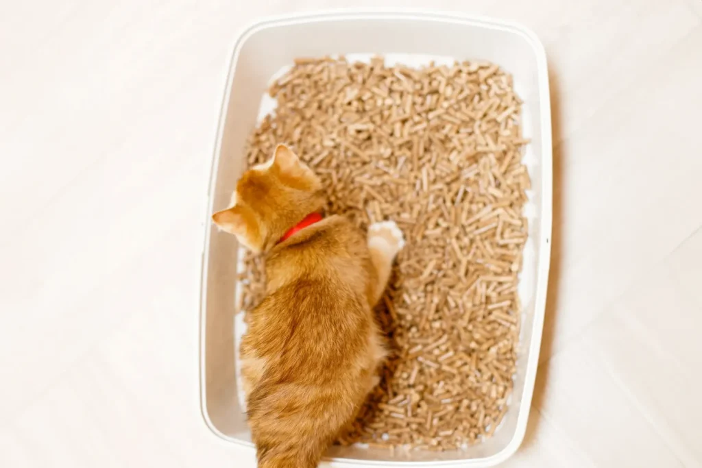 Wood Pellets for Cat Litter
