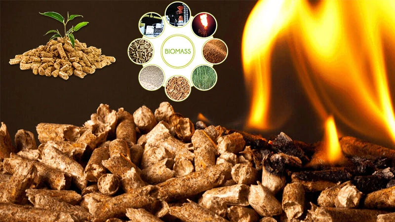 Wood Pellets for Sale
