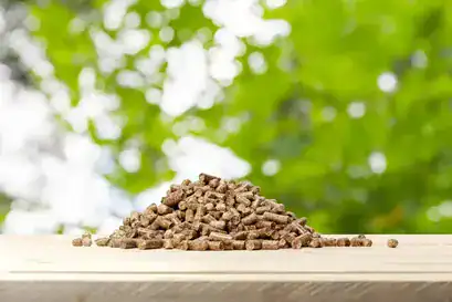 preimum wood pellets